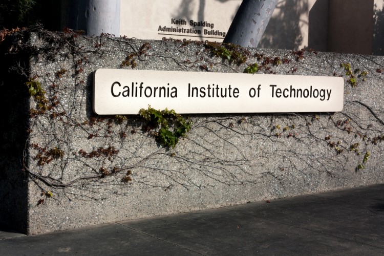 Most Profitable Universities in America