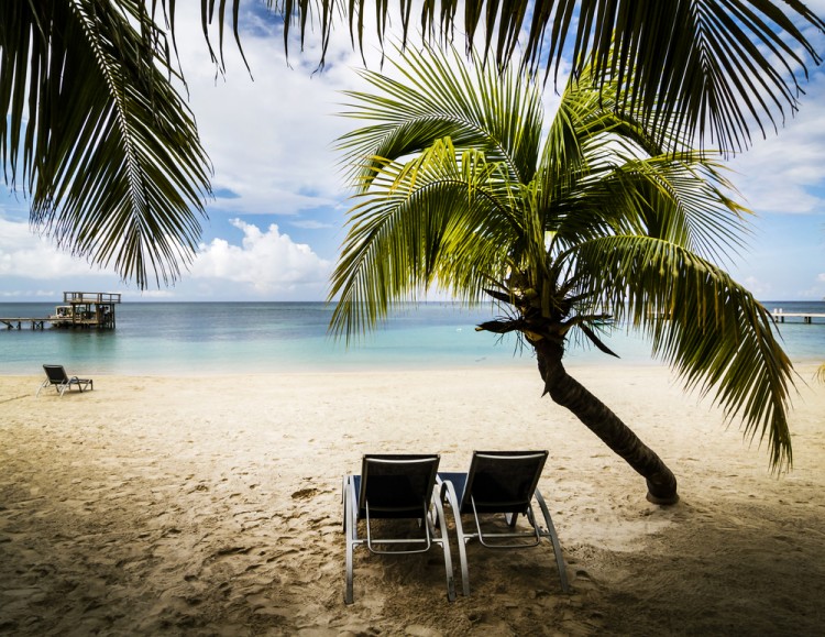 Michal Zak/Shutterstock.com