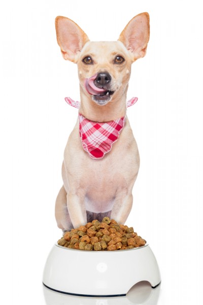 Javier Brosch/Shutterstock.com