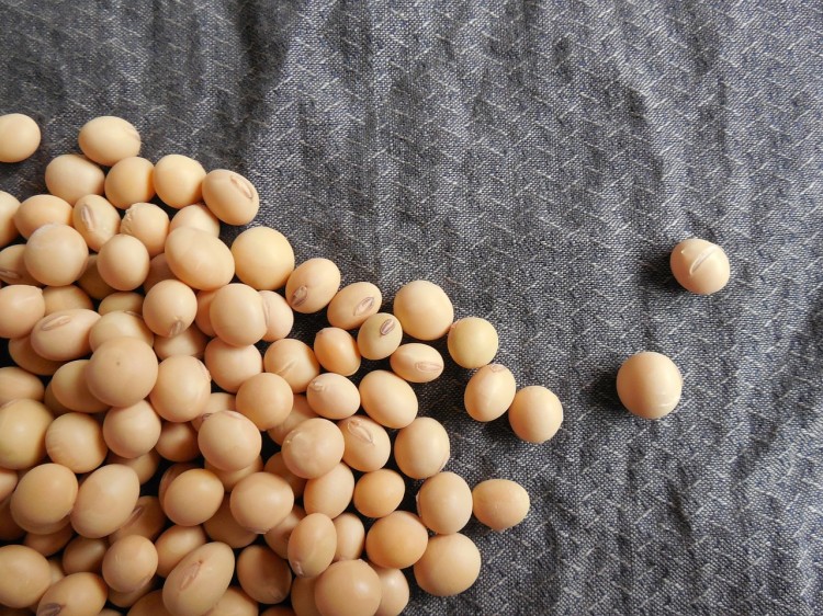12 Examples of Modified Food Insider Monkey