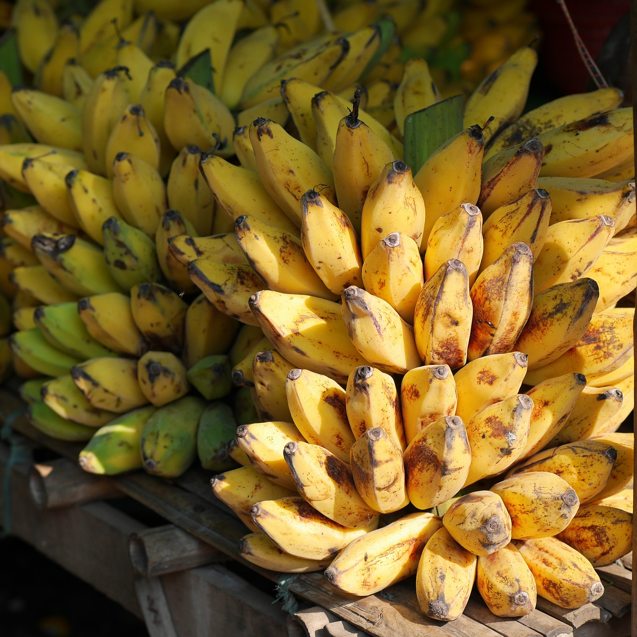10 Countries that Export The Most Bananas in The World Insider Monkey