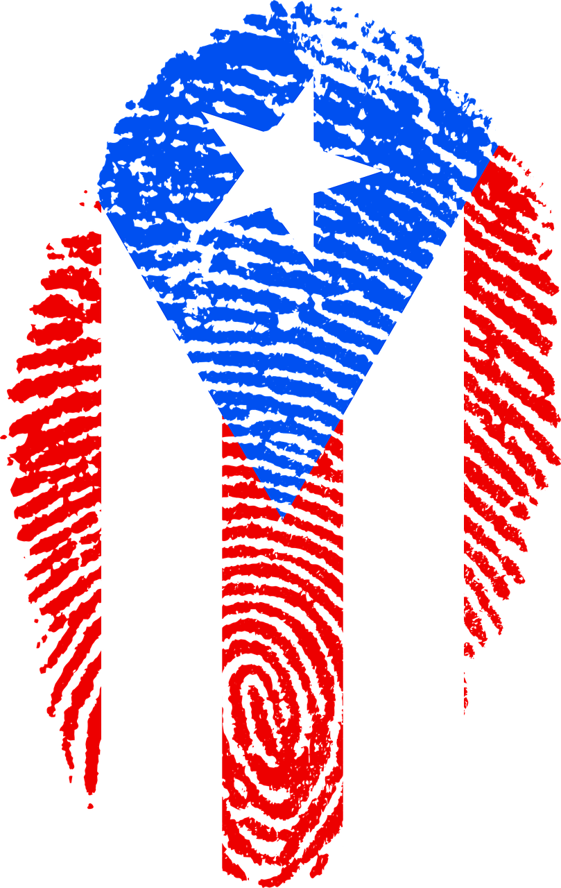 Best option healthcare puerto rico inc