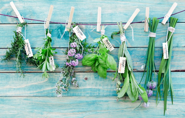 stockcreations/Shutterstock.com