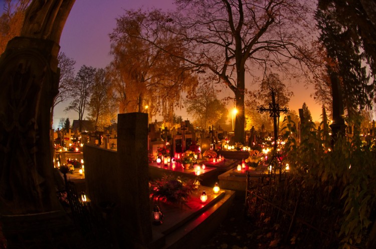 Jaroslaw Grudzinski/Shutterstock.com