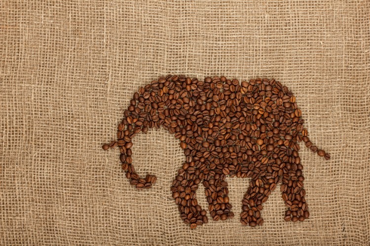 10 Best Tasting Highest Rated Coffee Beans in The World