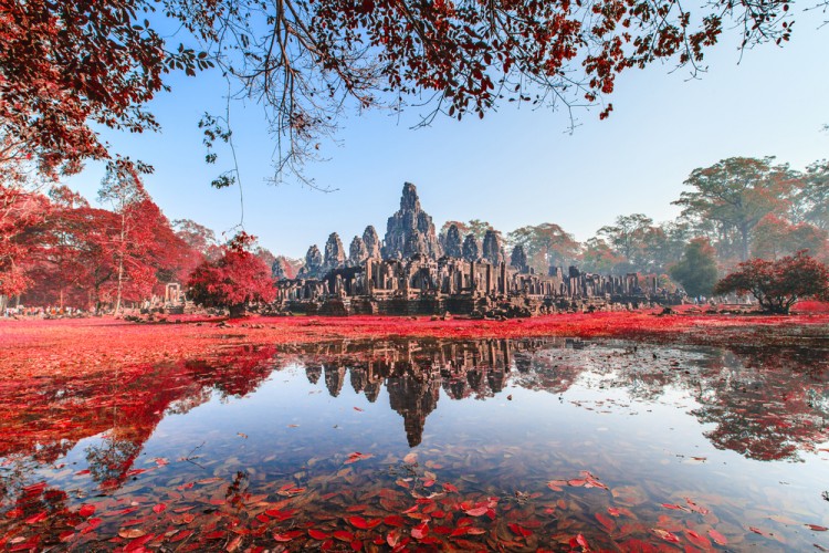 Pushish Images/Shutterstock.com