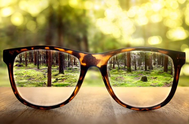 lassedesignen/Shutterstock.com