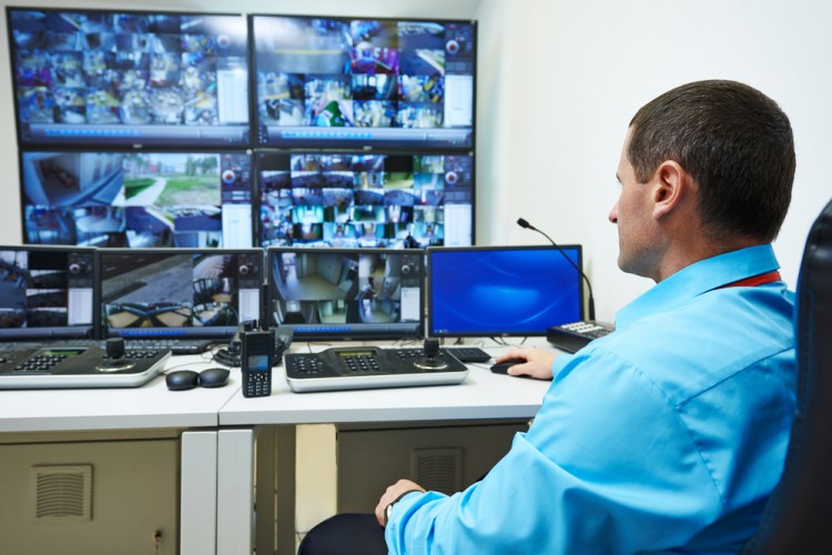 Dmitry Kalinovsky/Shutterstock.com