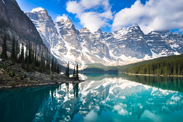 Alberto Loyo/Shutterstock.com
