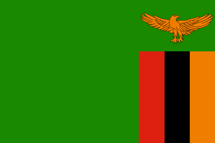 12 African Countries with the Largest White Population