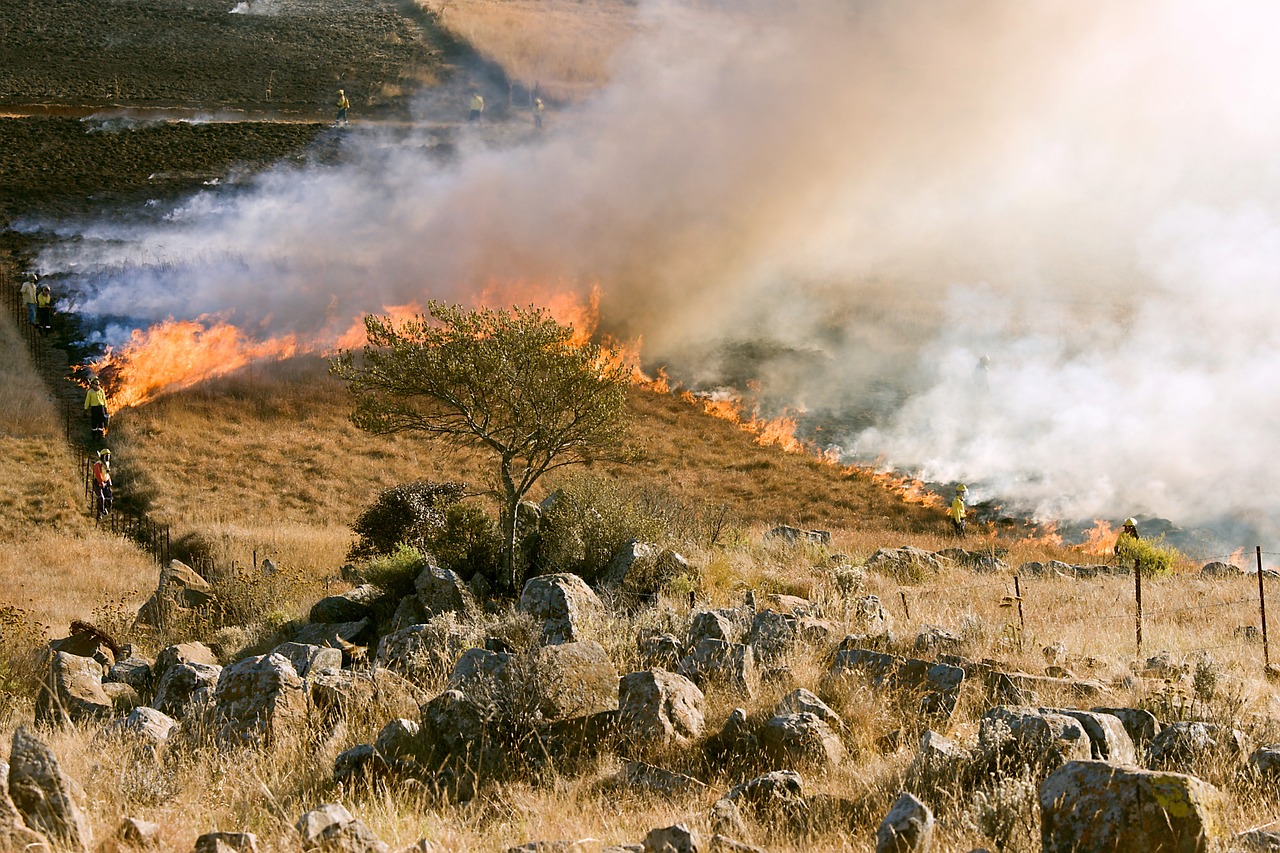 Edison International (EIX) Launches Wildfire Compensation Program for Eaton Fire Victims