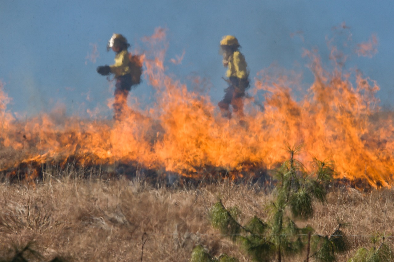 10 biggest fires in us history insider monkey