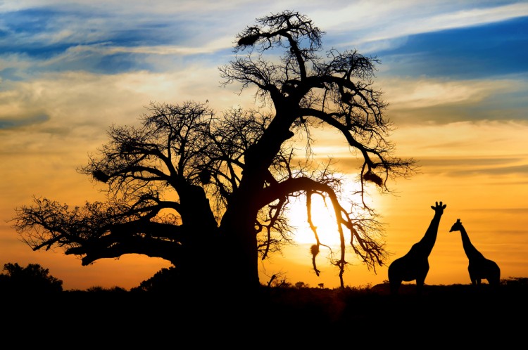 most expensive places to visit in Africa