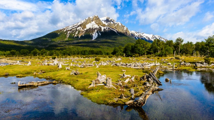 Anton_Ivanov/Shutterstock.com