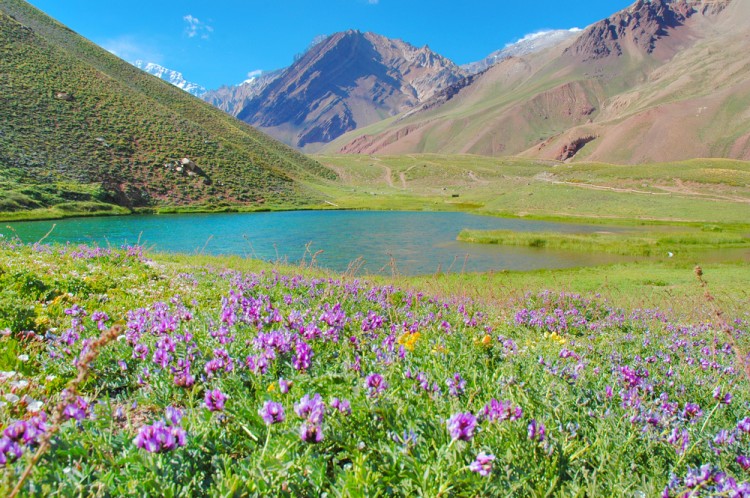 Camelia Varsescu/Shutterstock.com