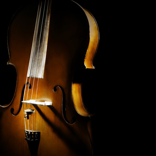 Alenavlad/Shutterstock.com