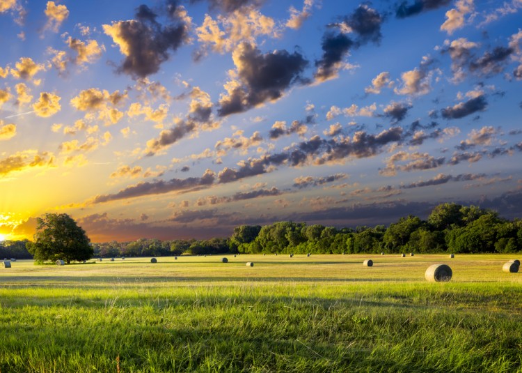 Fastest Growing Cities in America in 2015