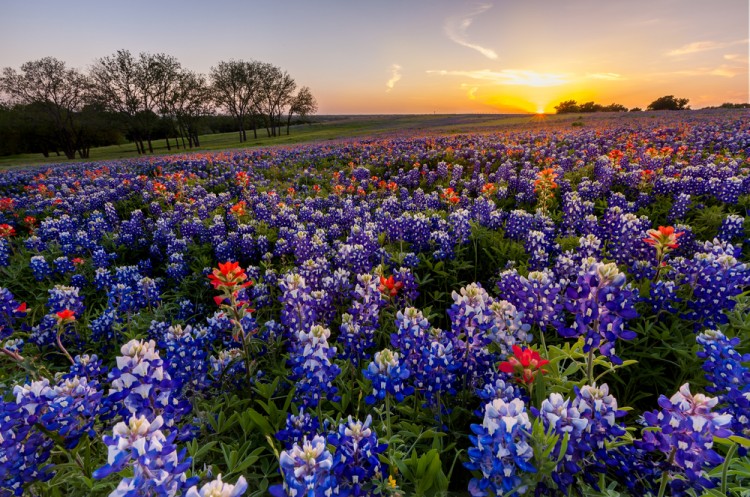 Fastest Growing Cities in America in 2015