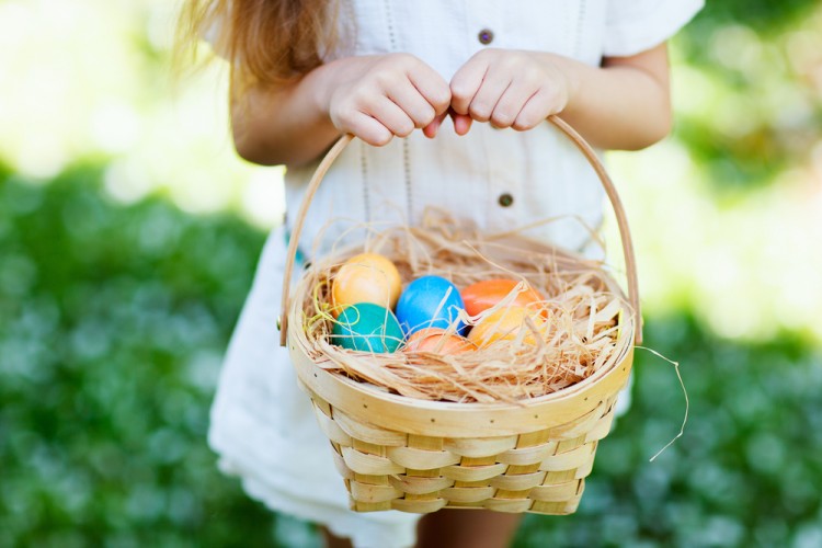 10 Largest Egg Producing Countries In The World