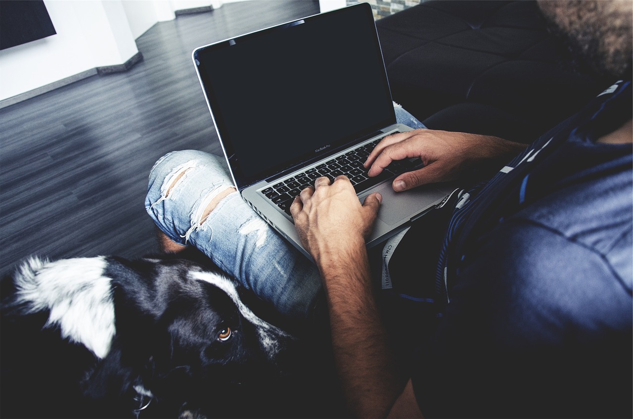 Most Profitable Pet Businesses to Start Today
