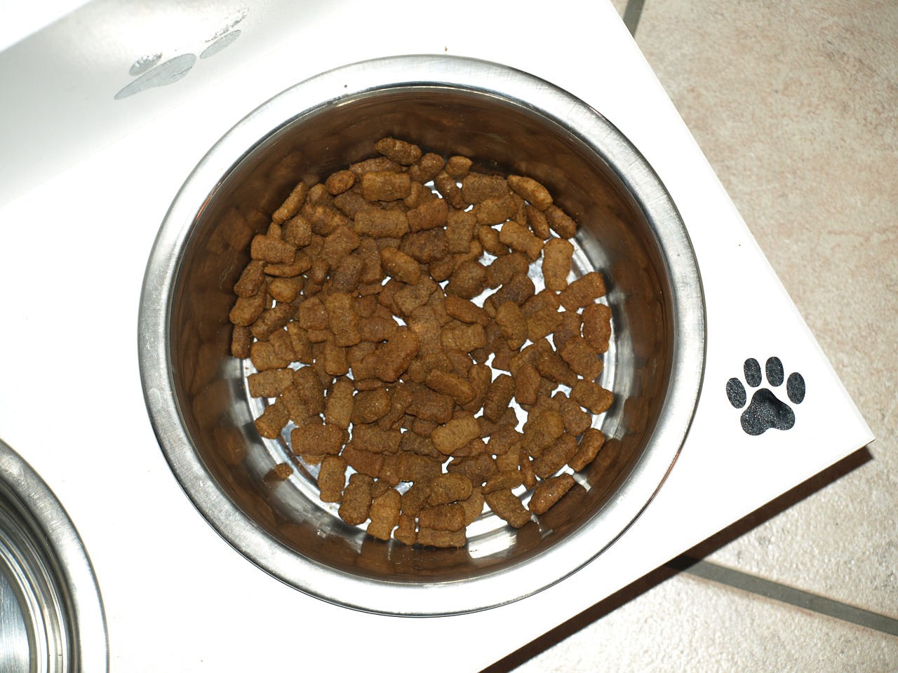 Chewy Inc. (CHWY) Posts Impressive Q2 Results on Revenue Growth