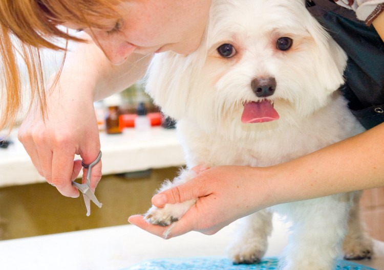 Jobs That Don't Require Drug Test in 2018