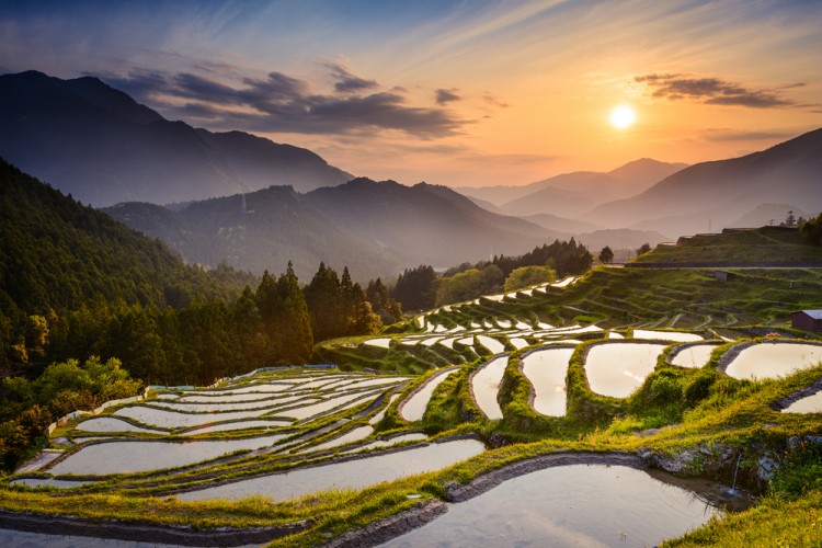 Most Advanced Countries in Agriculture