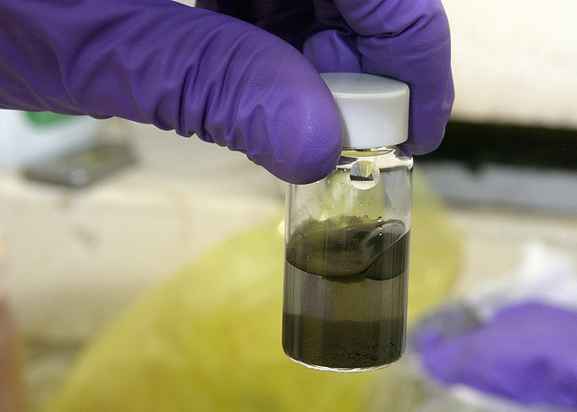 Wedbush Raises Price Target on Apogee Therapeutics (APGE)