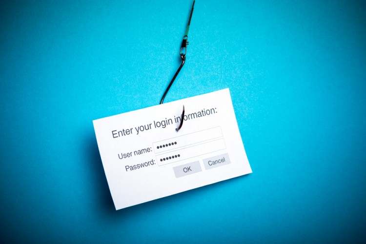Bloomua/Shutterstock.com