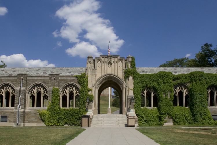 Top 7 Ivy League Colleges for Finance