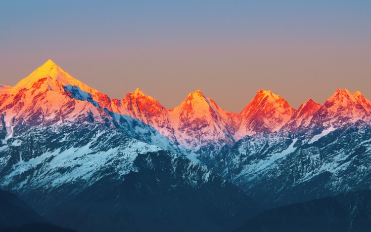 Dchauy/Shutterstock.com