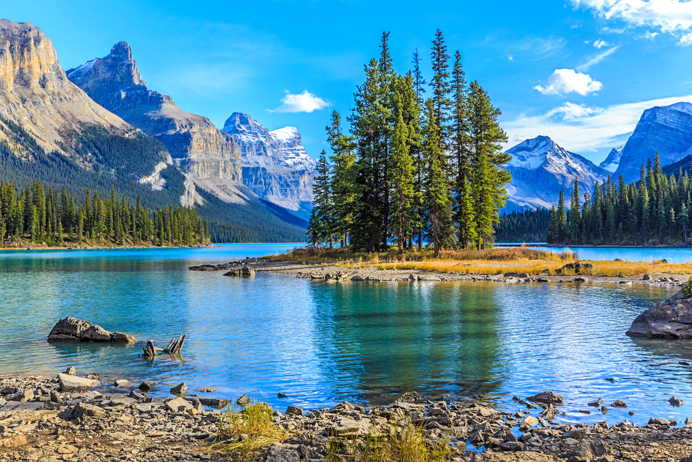 Naturaleza stock options