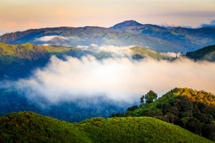 Siwabud Veerapaisarn/Shutterstock.com