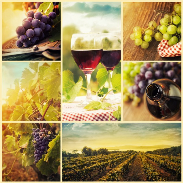 10 Countries that Export the Most Wine in the World