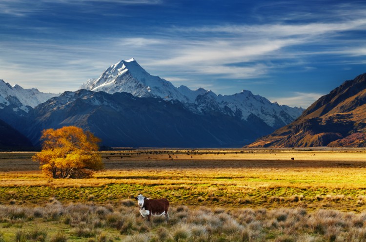 Top 25 Safest, Most Peaceful Countries In The World