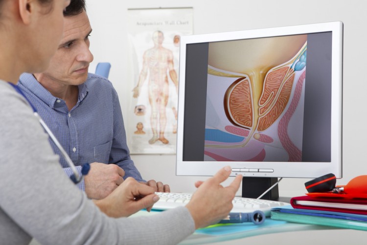 urology, prostate, tract, system, patient, medical, information, health, doctor, dialogue, human, genital, years, european, practitioner, adult, male, 40, old, personnel,