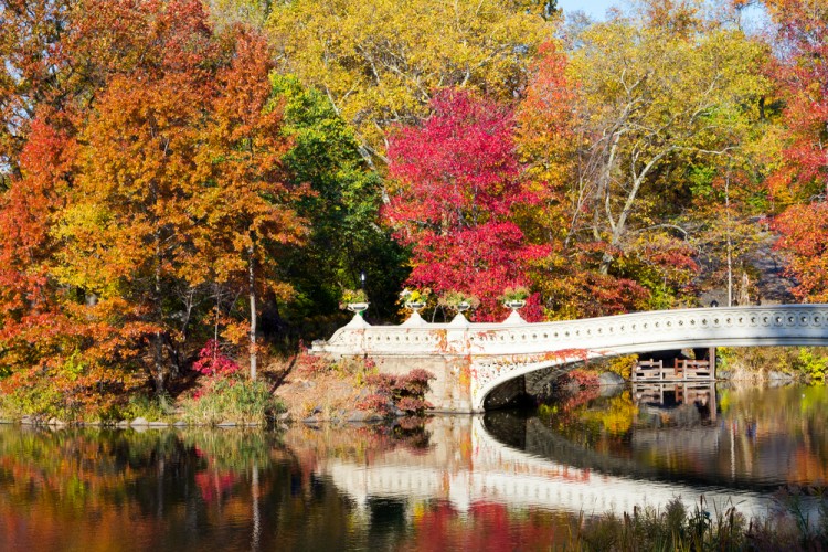 16 Fun Cheap and Unique First Date Ideas in NYC
