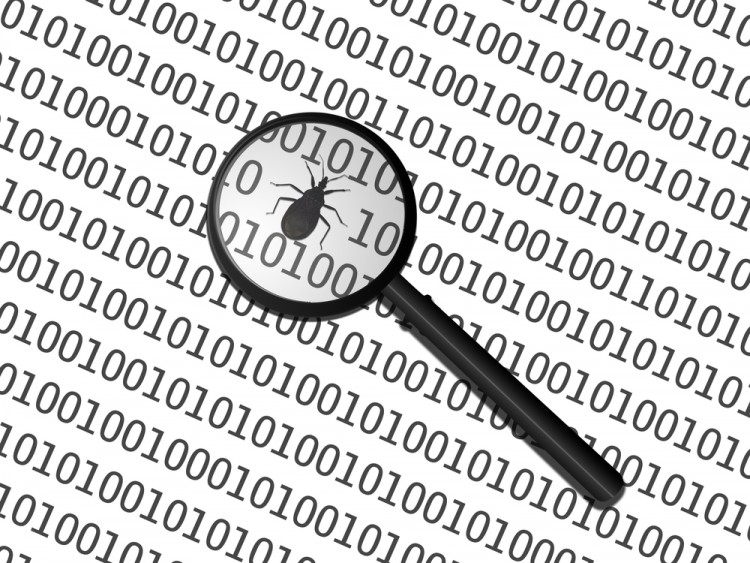 bug, coding, code, coded, glitch, defect, debug, hidden, system, programming, error, data, information, glass, search, file, technological, failure, red, concept, internet,