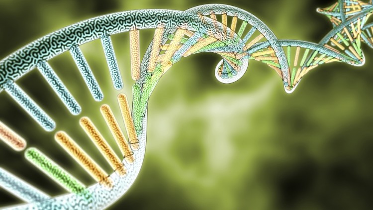 gene, dna, organism, microarray, health, green, life, human genome, biotechnology, genetic diseases, disease, molecular biology, modern medical, micro structure,