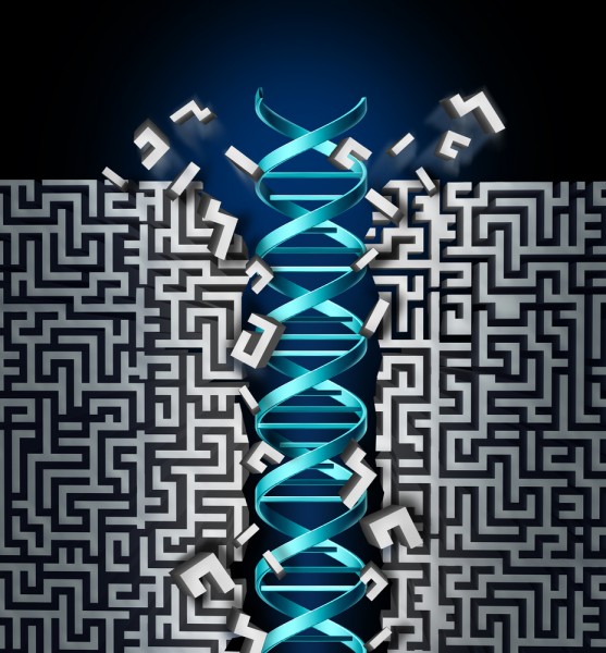 testing, gene, disrder, double, breakthrough, engineering, disease, technology, medicine, therapy, biology, clinical, strand, chromosomes, health, conceptual, genetics,