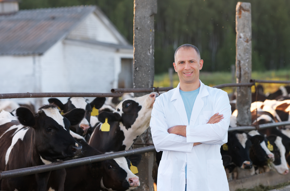 farm, animals, livestock, cow, health, bossy, pets, beef, agriculture, medical, framework, mammals, doc, life, adviser, occupation, girder, homestead, diagnostic, vet,