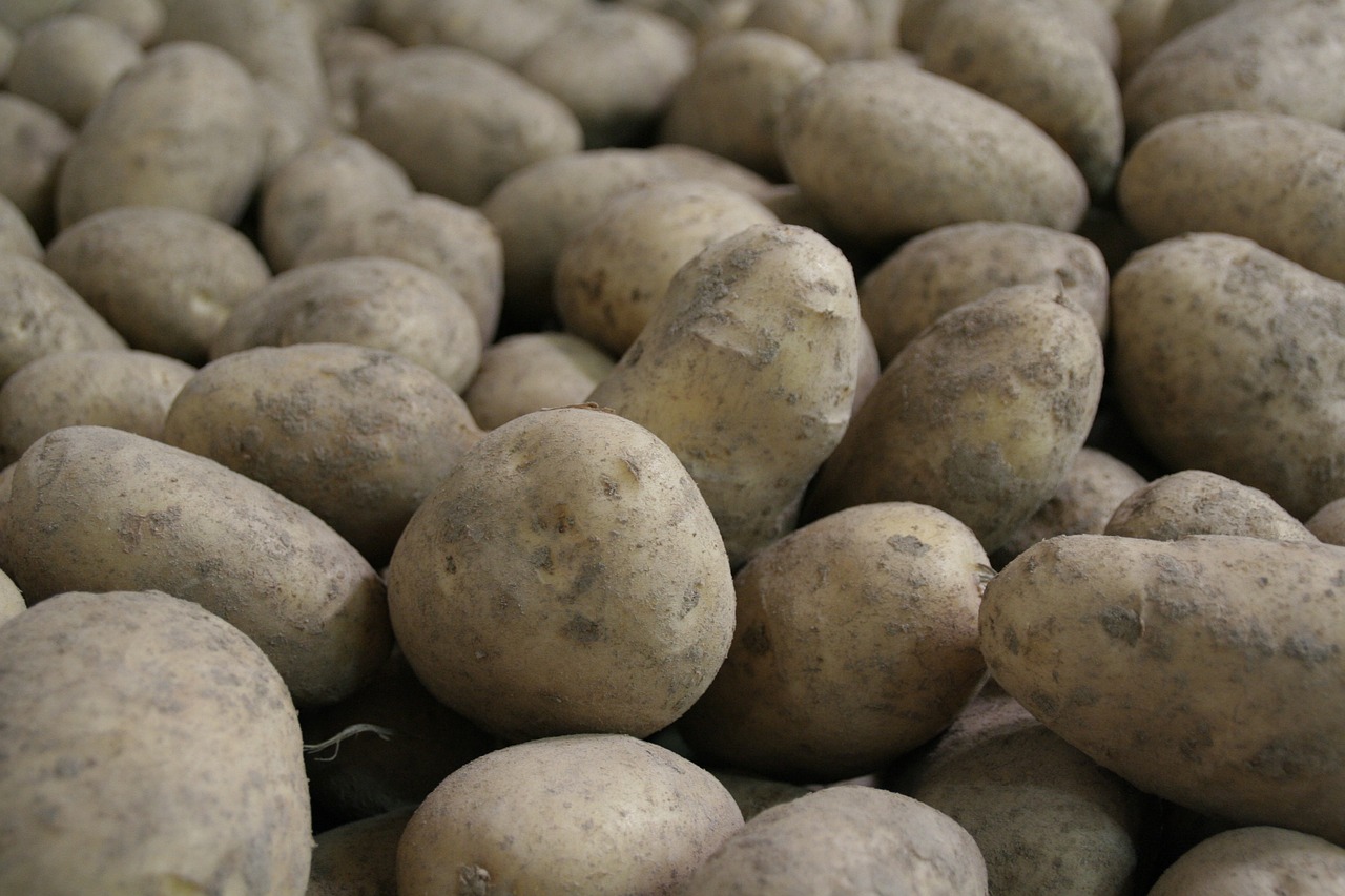 20 States That Produce The Most Potatoes - Vimarsana News