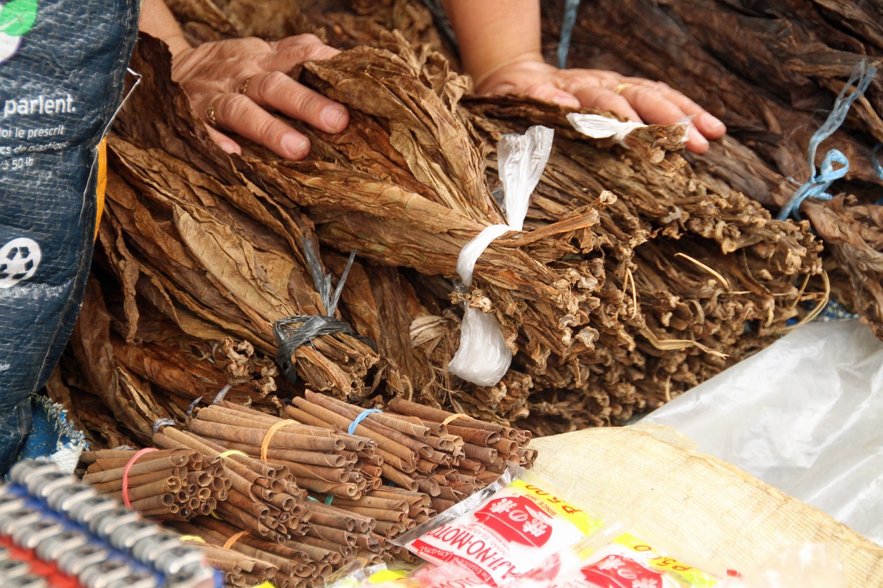 12 Countries that Produce the Best Tobacco in the World - Vimarsana News