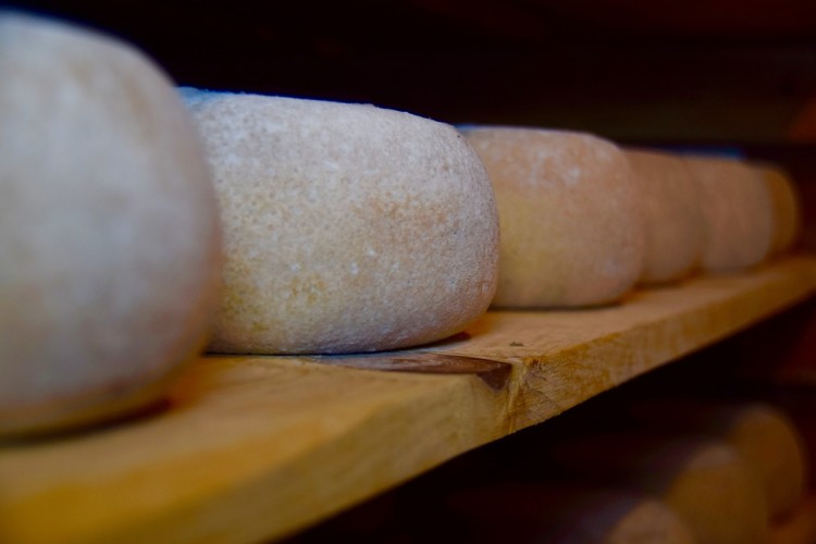 10 Countries that Export the Most Cheese in the World Insider Monkey