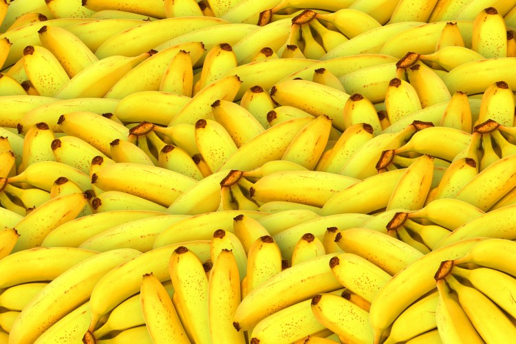 10 Countries that Export The Most Bananas in The World Insider Monkey