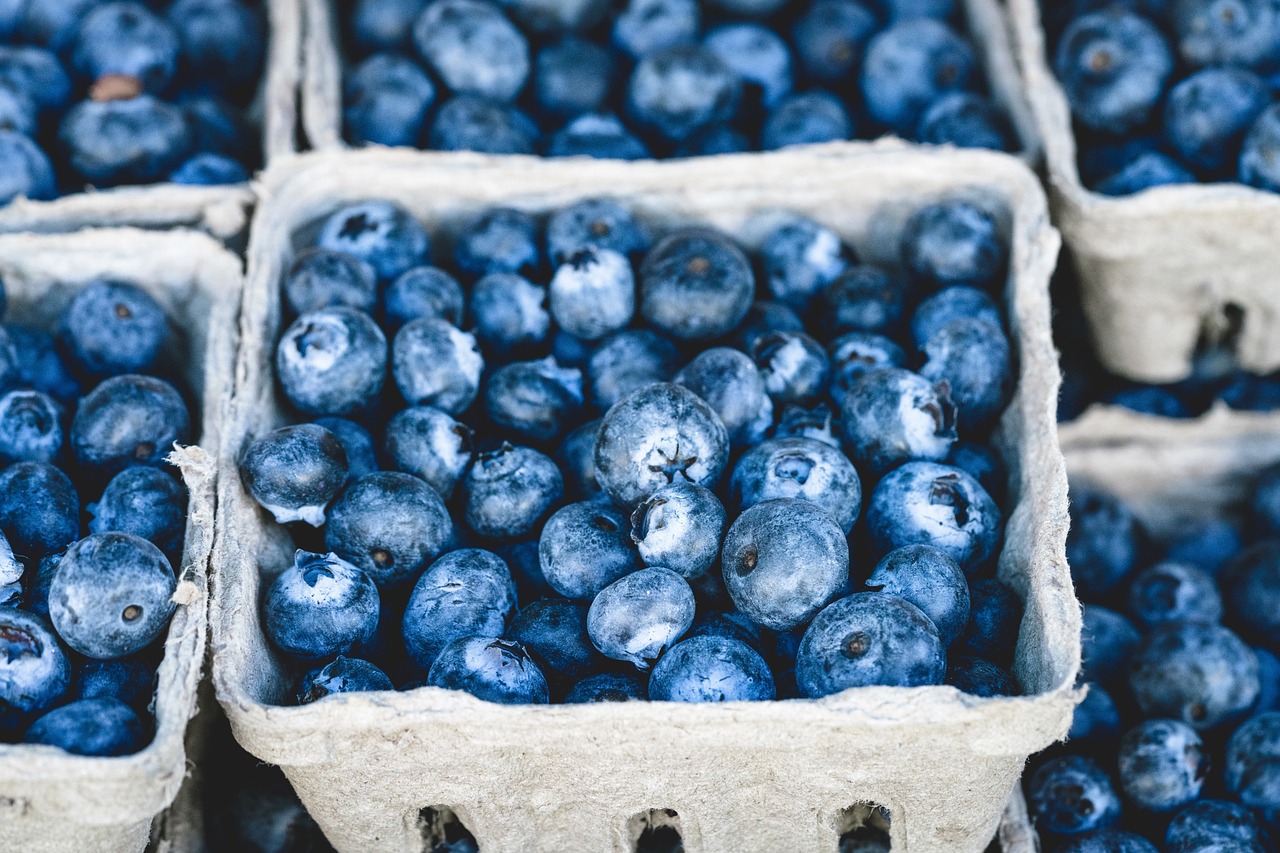 10 Countries that Produce The Most Blueberries in The World Insider
