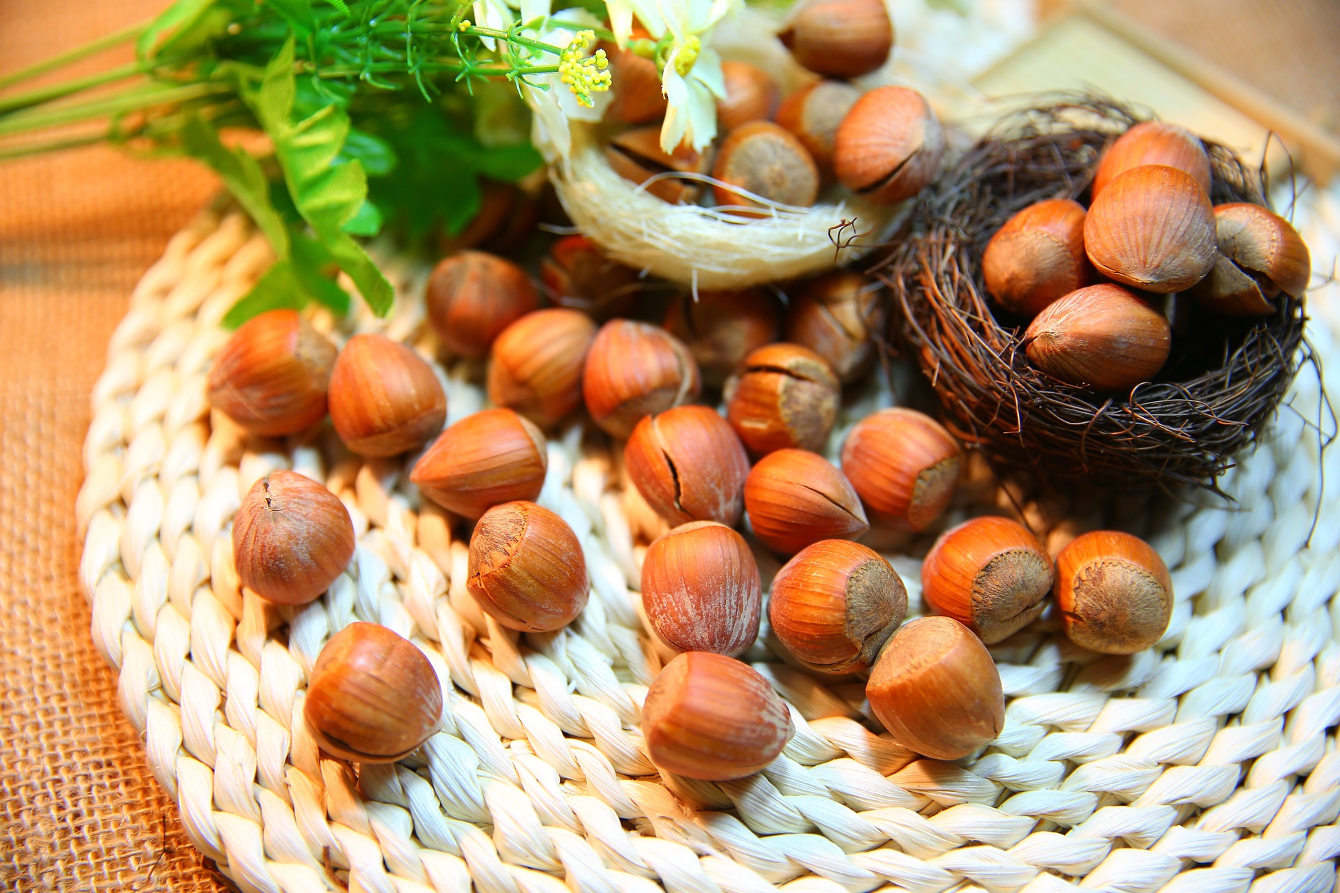 6 Largest Hazelnut Producing Countries In the World Insider Monkey