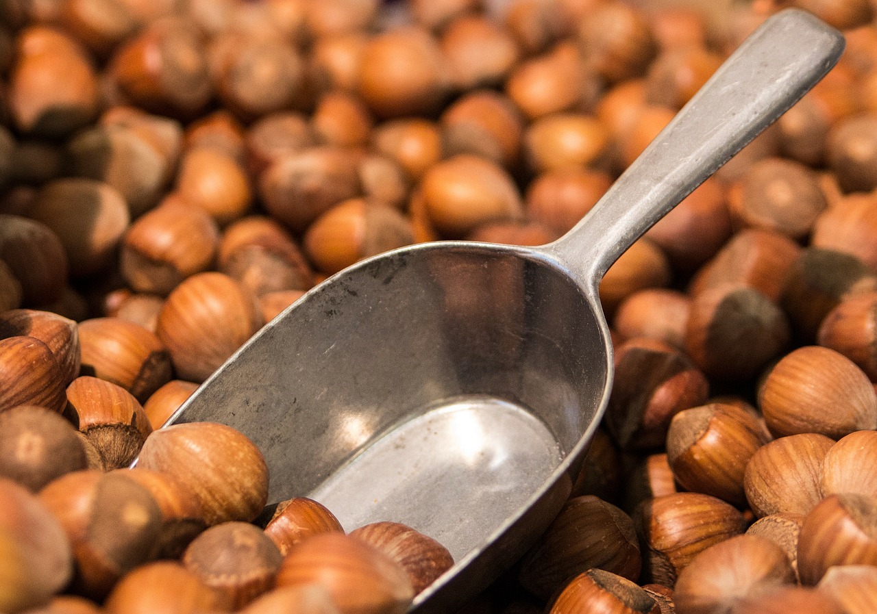 6 Largest Hazelnut Producing Countries In the World Insider Monkey