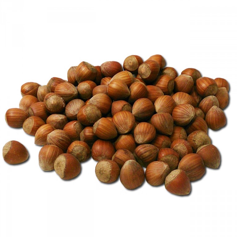 6 Largest Hazelnut Producing Countries In the World Insider Monkey