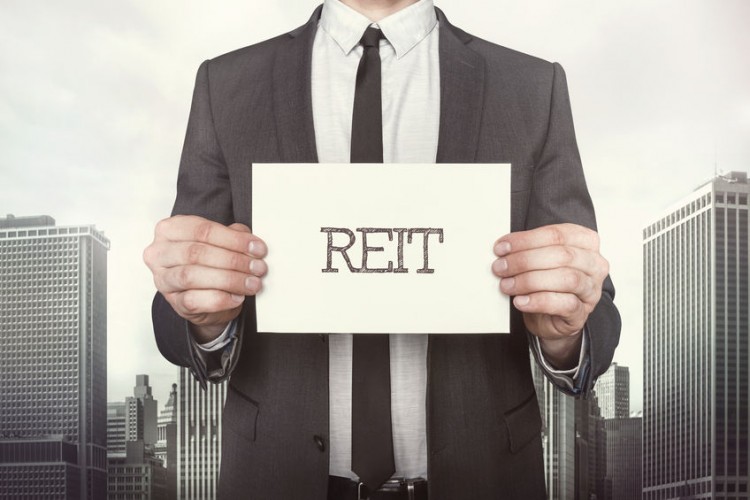 Real Estate Investment Trust